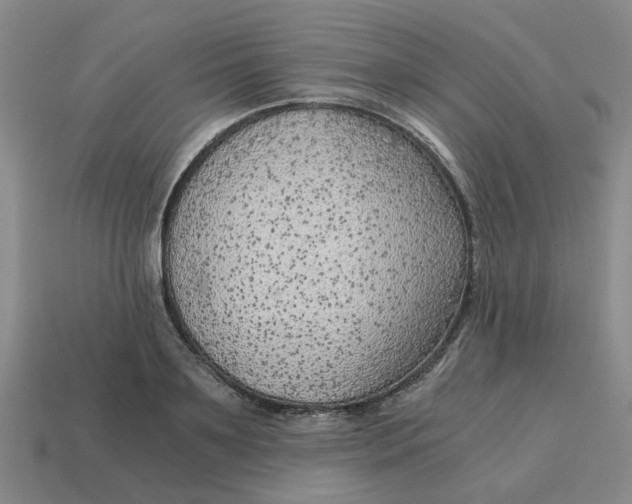 X0000114430891200911061641