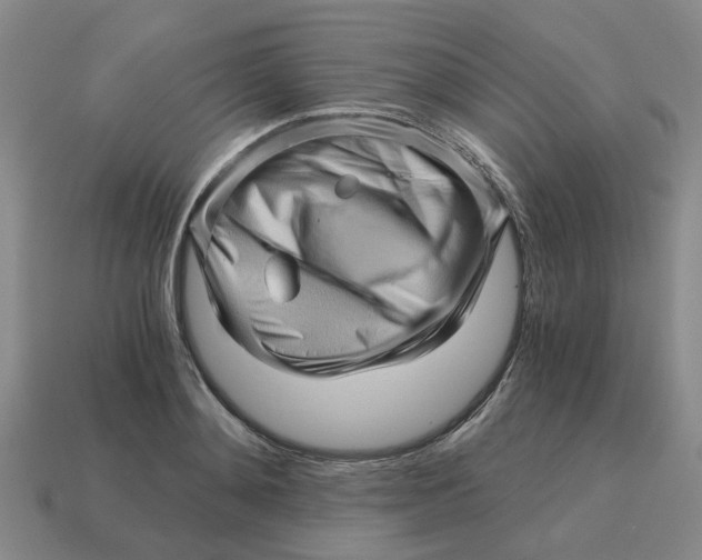 X0000114430892200911061641