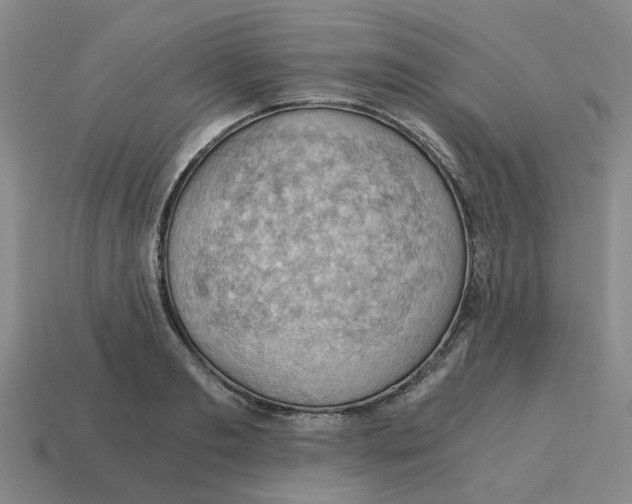 X0000114430893200911061641