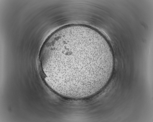 X0000114430895200911061641