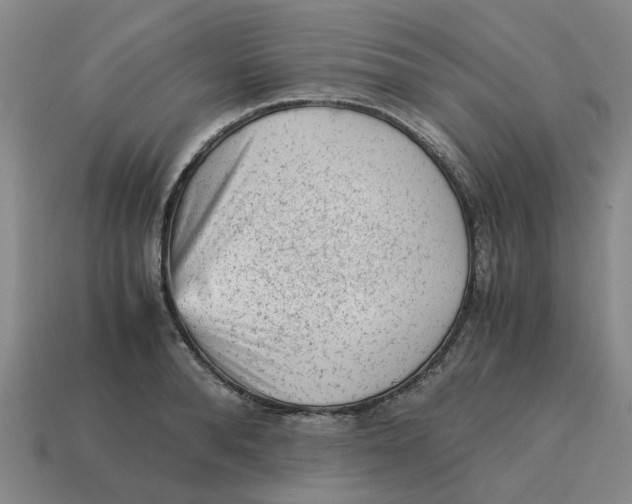X0000114430896200911061641