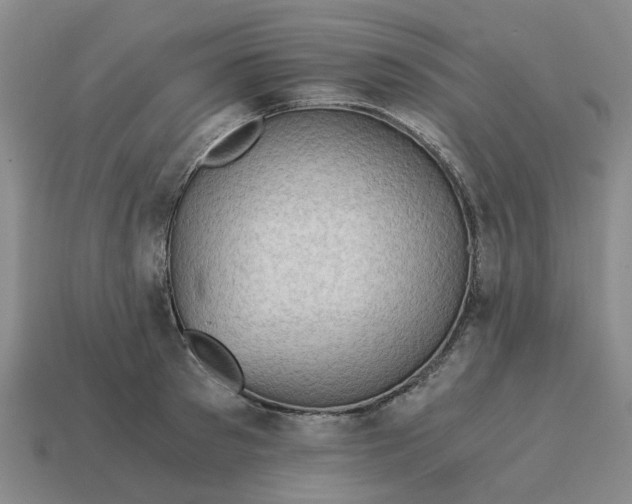 X0000114430897200911061641