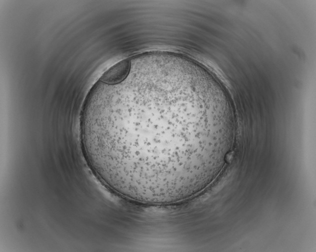X0000114430898200911061641