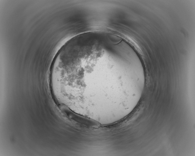 X0000114430899200911061641