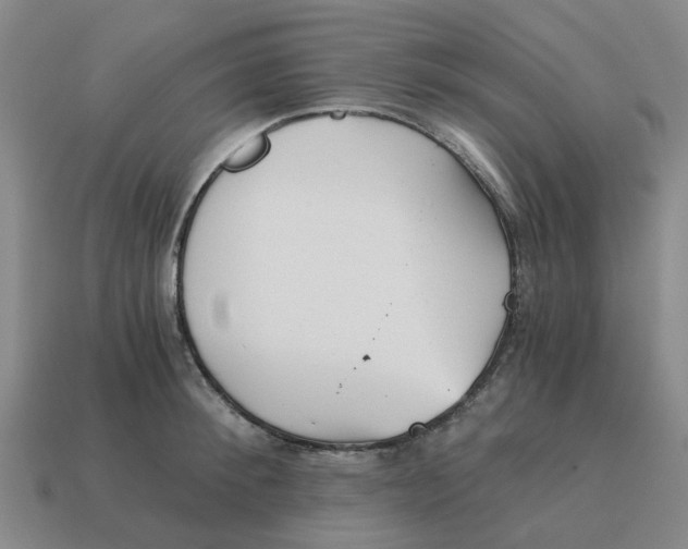 X0000114430900200911061641