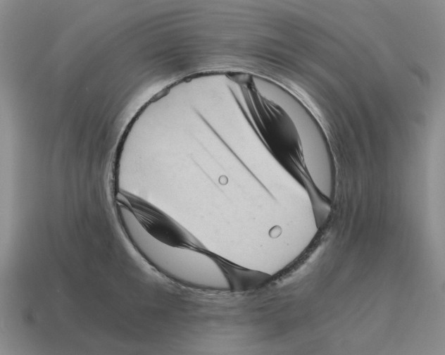 X0000114430901200911061641