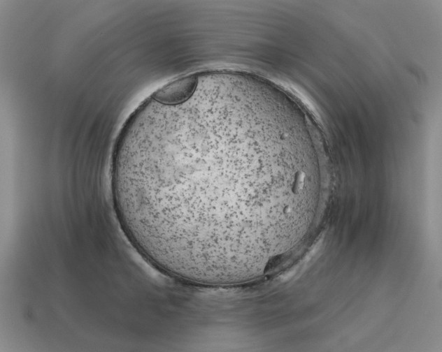 X0000114430902200911061641