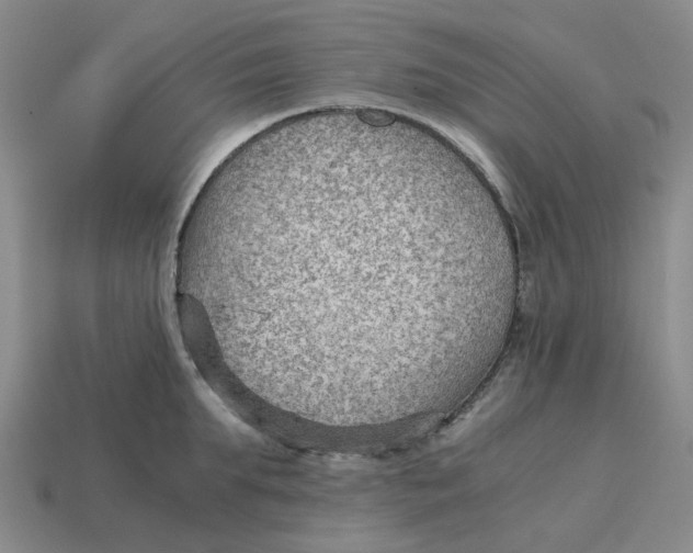 X0000114430903200911061641