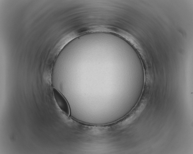 X0000114430905200911061640