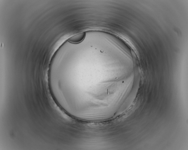 X0000114430906200911061640