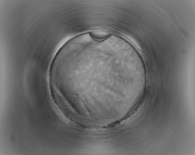 X0000114430907200911061640