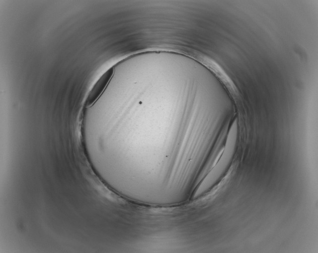 X0000114430908200911061640
