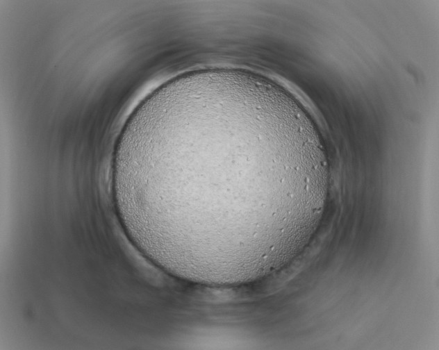 X0000114430911200911061640