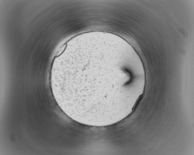 X0000114430912200911061640