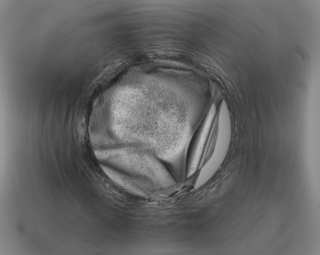 X0000114430915200911061640