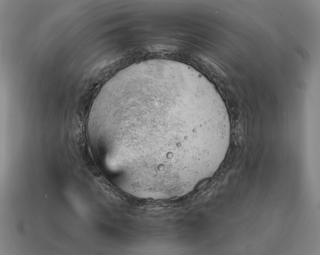 X0000114430917200911061640