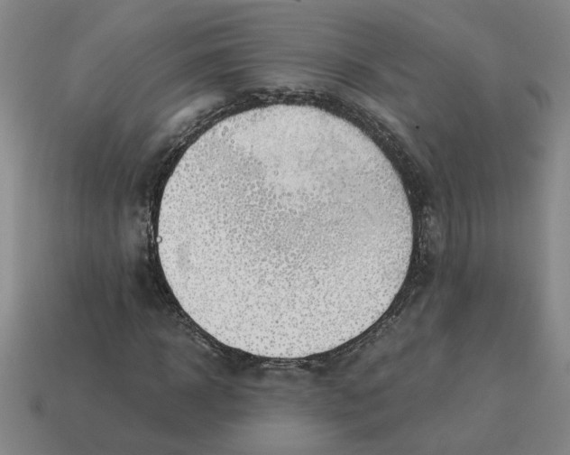 X0000114430918200911061640