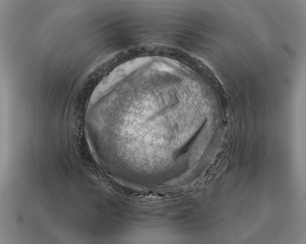 X0000114430919200911061640