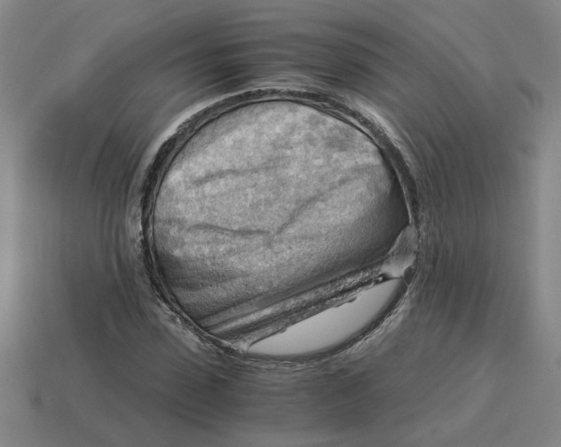 X0000114430923200911061640