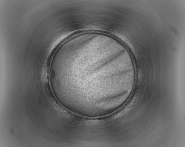 X0000114430925200911061640