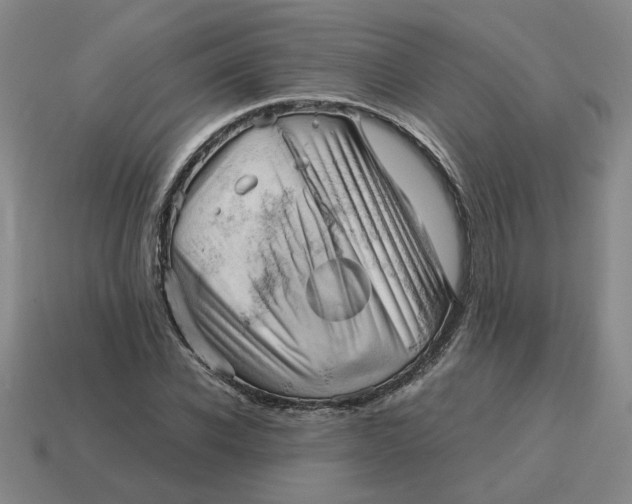 X0000114430926200911061640