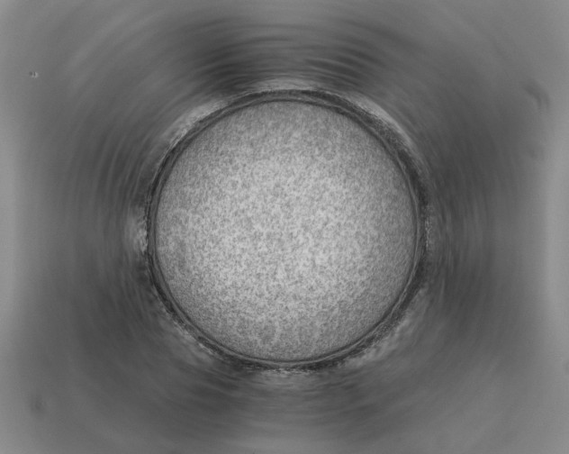 X0000114430929200911061640