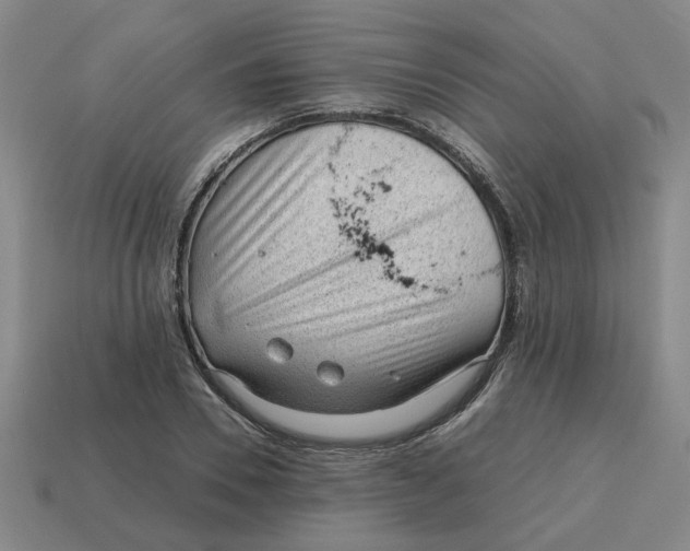 X0000114430930200911061640