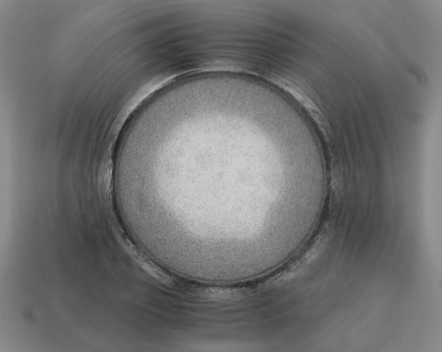 X0000114430933200911061640