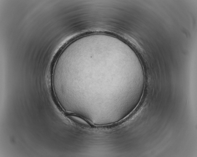 X0000114430934200911061640
