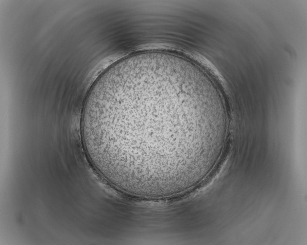 X0000114430937200911061640