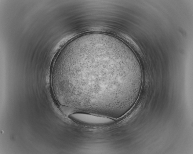 X0000114430938200911061640