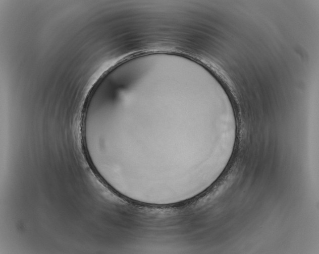 X0000114430941200911061640