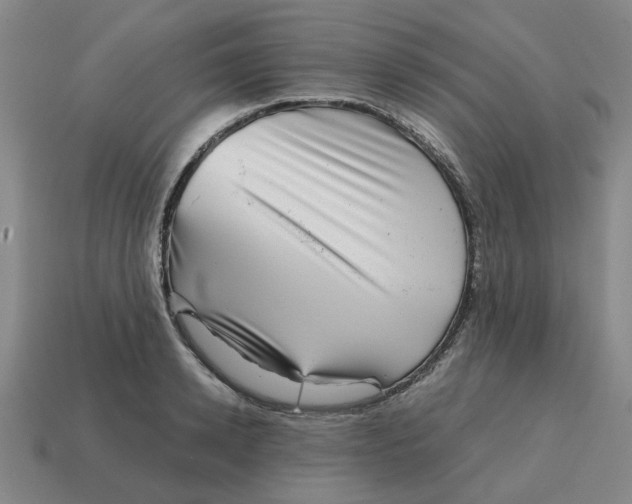 X0000114430942200911061640