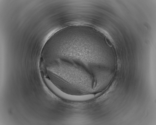 X0000114430946200911061640