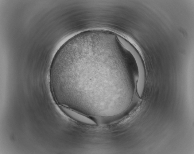 X0000114430951200911061640