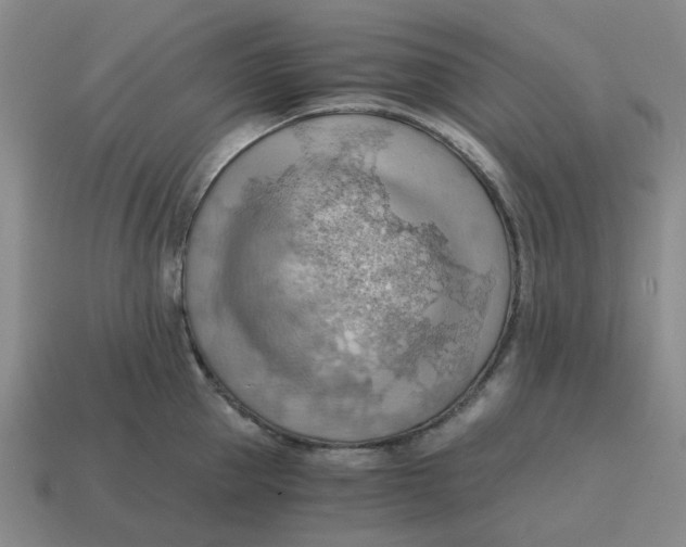X0000114430953200911061640