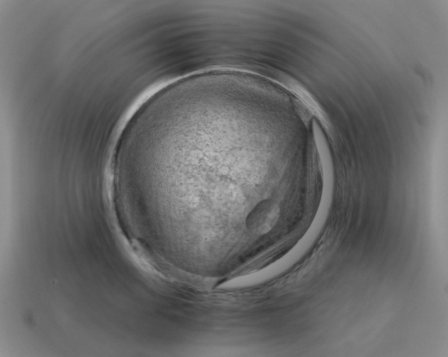 X0000114430955200911061640