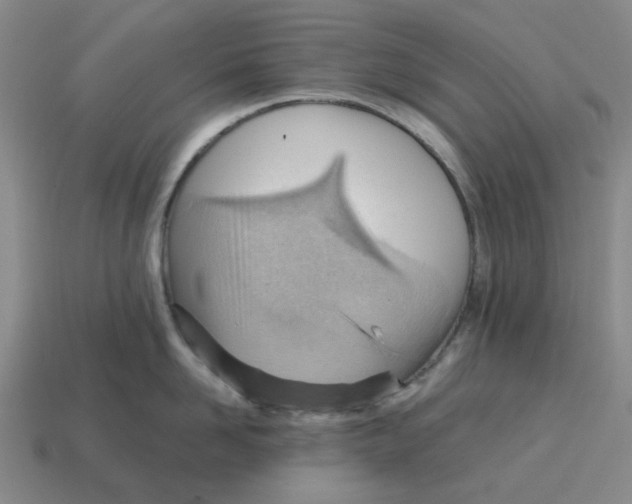 X0000114430958200911061640