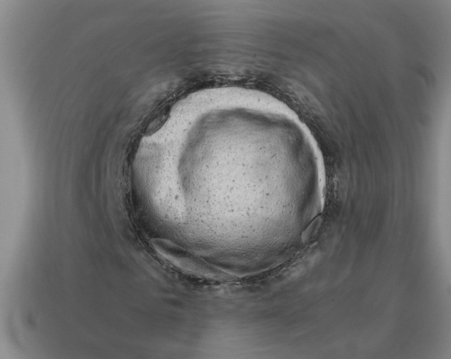 X0000114430961200911061640