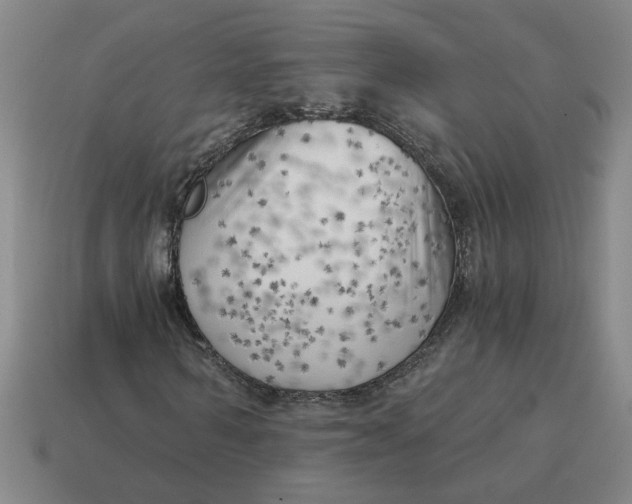 X0000114430962200911061640