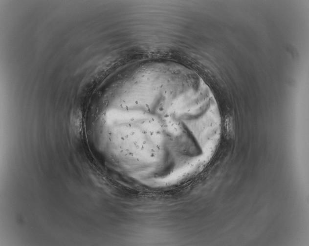 X0000114430963200911061640