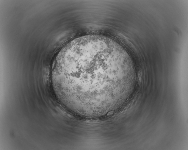 X0000114430964200911061640