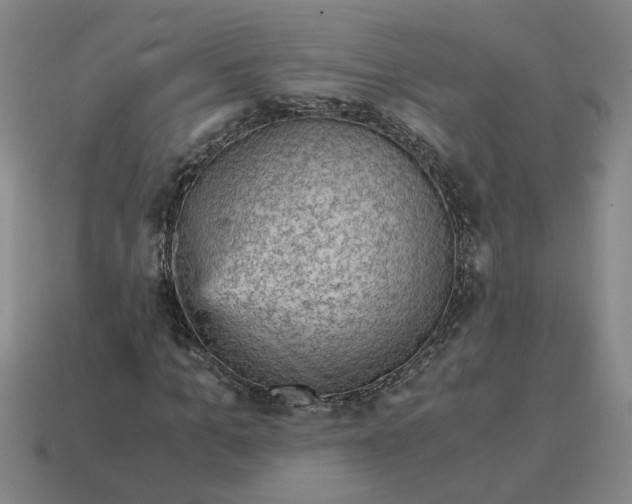 X0000114430965200911061640