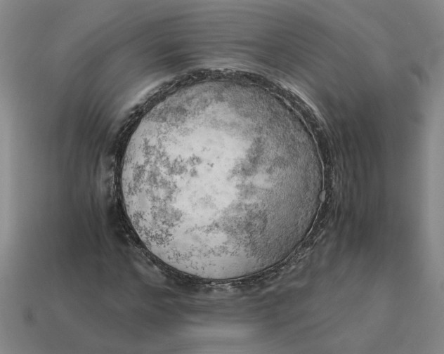 X0000114430968200911061640