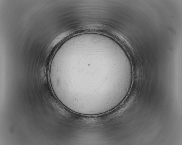 X0000114430970200911061640