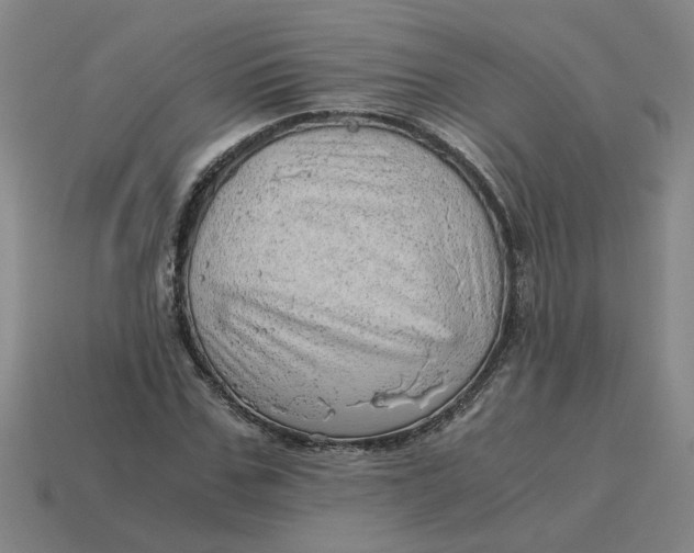 X0000114430971200911061640