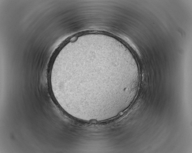 X0000114430972200911061640