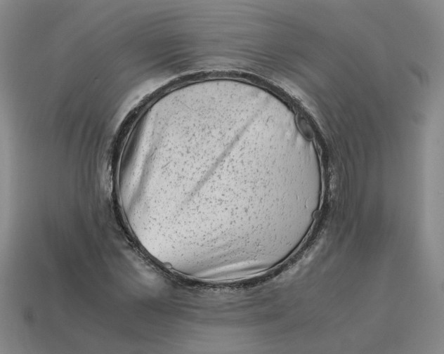 X0000114430973200911061640