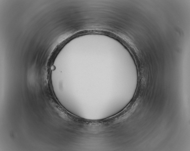 X0000114430974200911061640