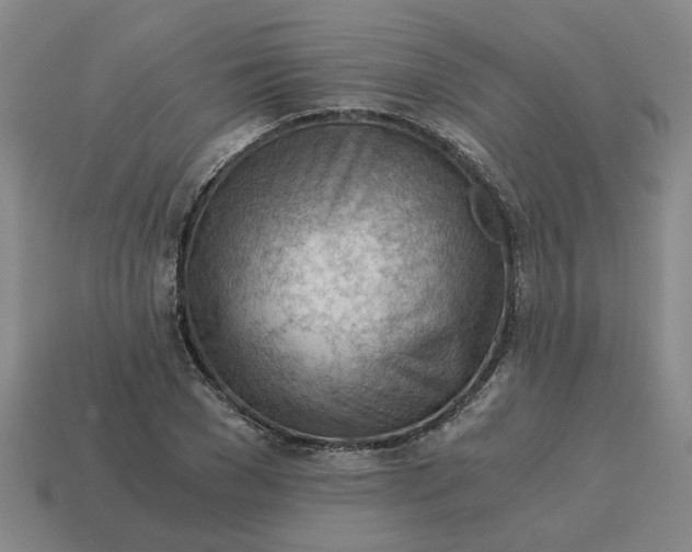 X0000114430977200911061640